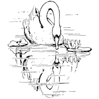 Dessin en noir et blanc d'un cygne contemplant son reflet dans l'eau.